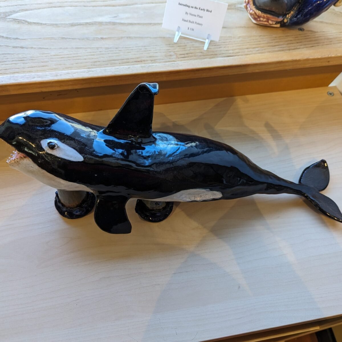 Orca Elegance | Neena Plant Pottery