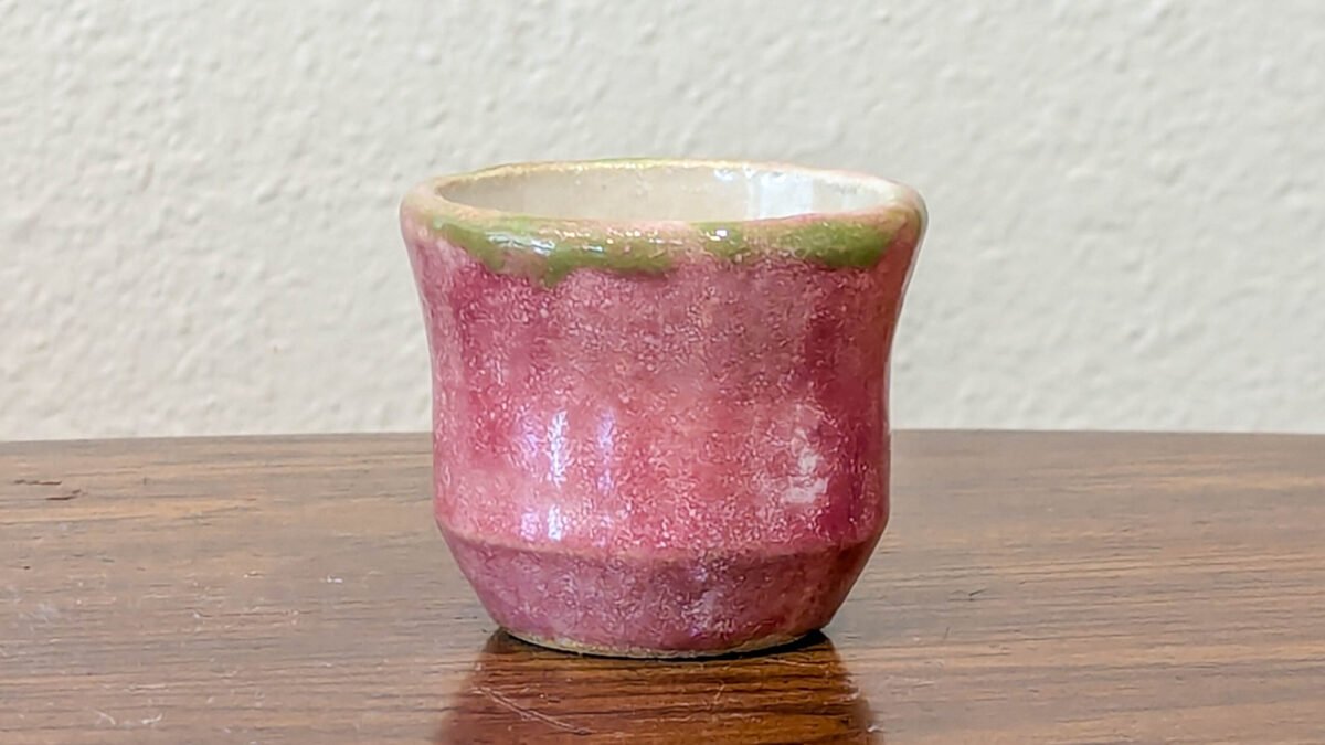 Li'l Pink Cup | Neena Plant Pottery