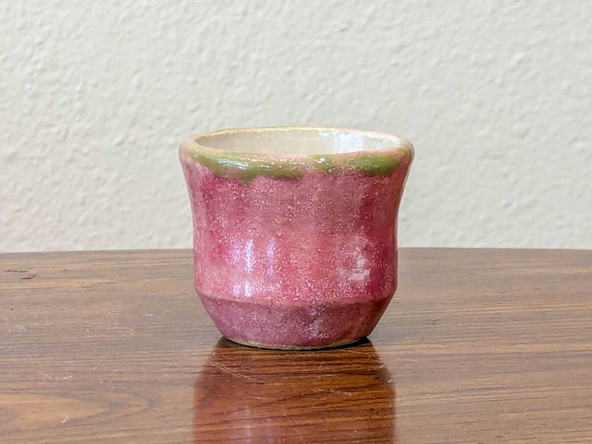 Li'l Pink Cup | Neena Plant Pottery
